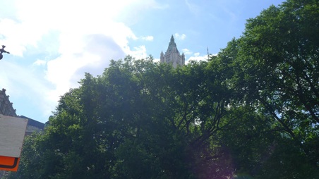 Enlarge photo 81