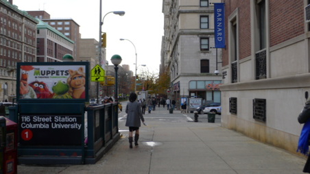 Enlarge photo 13