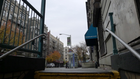 Enlarge photo 17