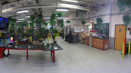 Enlarge photo 24