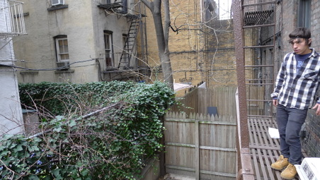 Enlarge photo 6