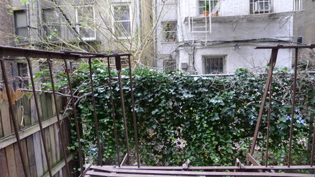 Enlarge photo 11