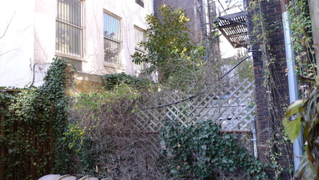 Enlarge photo 14