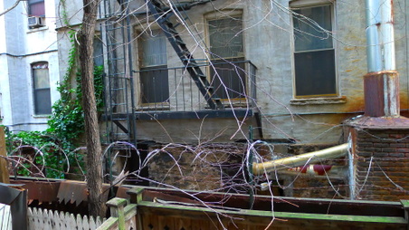 Enlarge photo 12