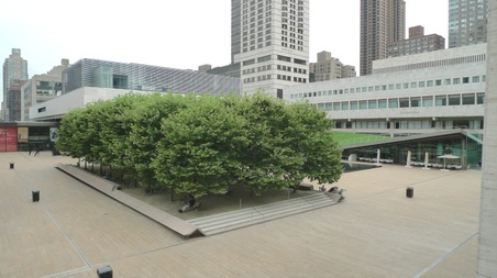 Enlarge photo 27