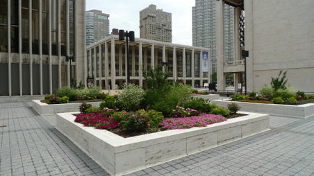 Enlarge photo 35