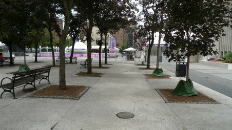 Enlarge photo 37