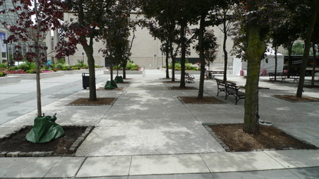 Enlarge photo 38