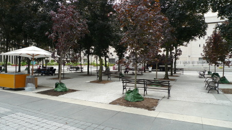 Enlarge photo 42