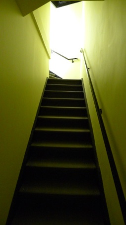 Enlarge photo 169