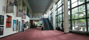 Enlarge photo 62