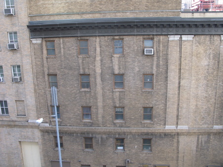 Enlarge photo 20