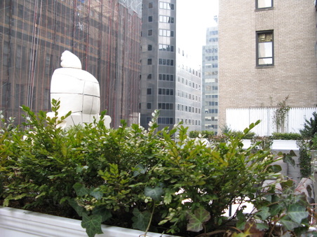 Enlarge photo 8