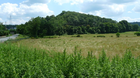 Enlarge photo 34