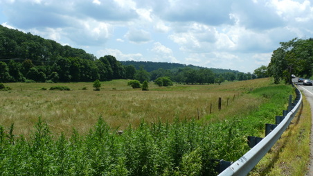 Enlarge photo 33