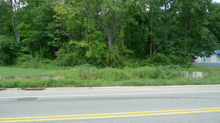 Enlarge photo 30