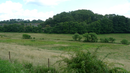 Enlarge photo 21