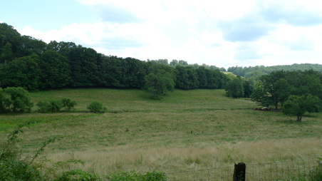 Enlarge photo 20