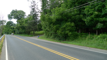 Enlarge photo 16