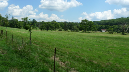 Enlarge photo 7