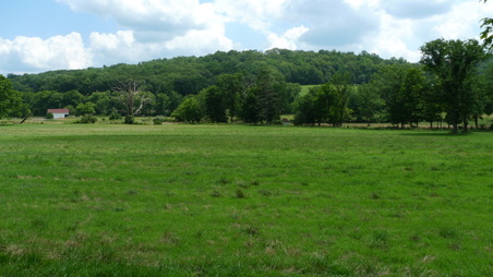 Enlarge photo 6