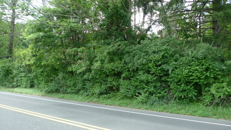 Enlarge photo 3