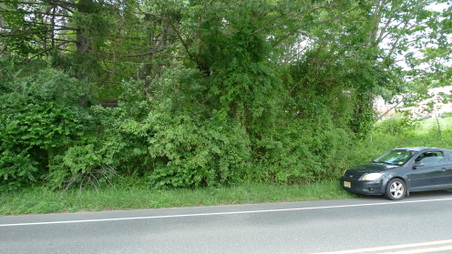 Enlarge photo 2