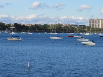 Enlarge photo 19