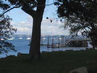 Enlarge photo 11