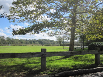 Enlarge photo 24