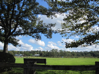 Enlarge photo 25