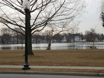 Enlarge photo 73