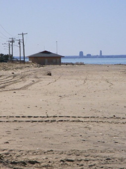 Enlarge photo 43