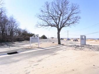 Enlarge photo 46