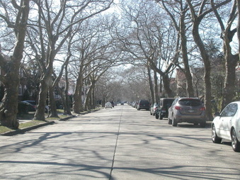 Enlarge photo 29
