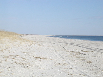 Enlarge photo 38
