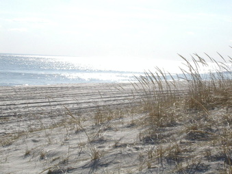 Enlarge photo 41