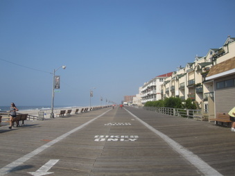 Enlarge photo 78