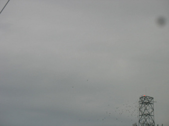 Enlarge photo 28