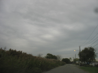 Enlarge photo 27