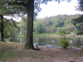 Enlarge photo 78