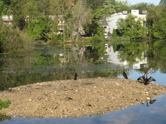 Enlarge photo 84
