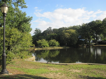 Enlarge photo 95