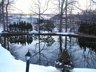 Enlarge photo 40