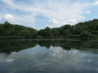 Enlarge photo 39