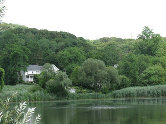 Enlarge photo 40