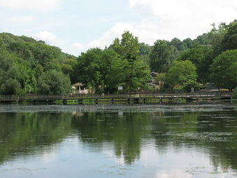 Enlarge photo 41