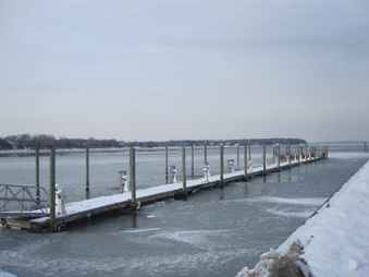 Enlarge photo 33