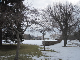 Enlarge photo 11