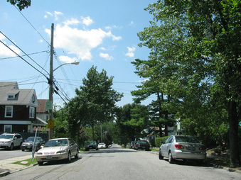 Enlarge photo 46